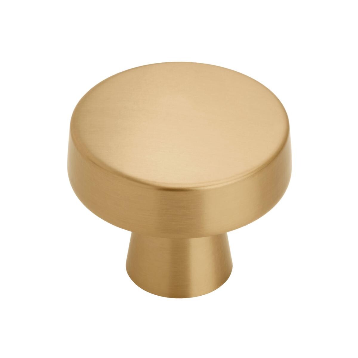 Blackrock Large Round Knob Champagne Bronze